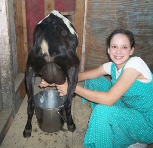 molly milking